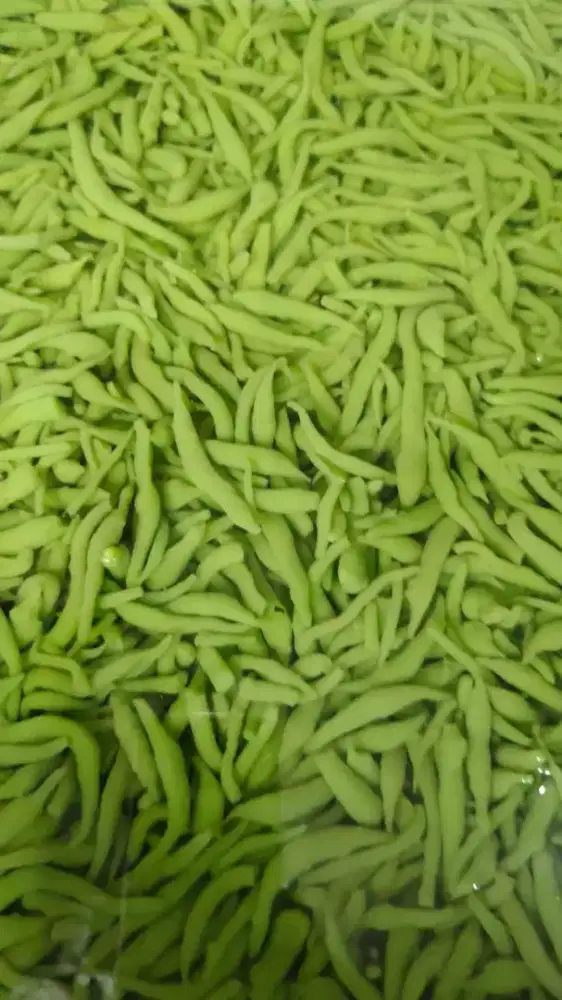 Cendol Tepung Beras Alami Daun Suji n Pandan