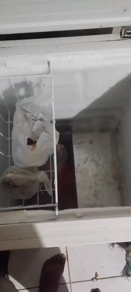 Pemakain pribadi 5 bulan no minus