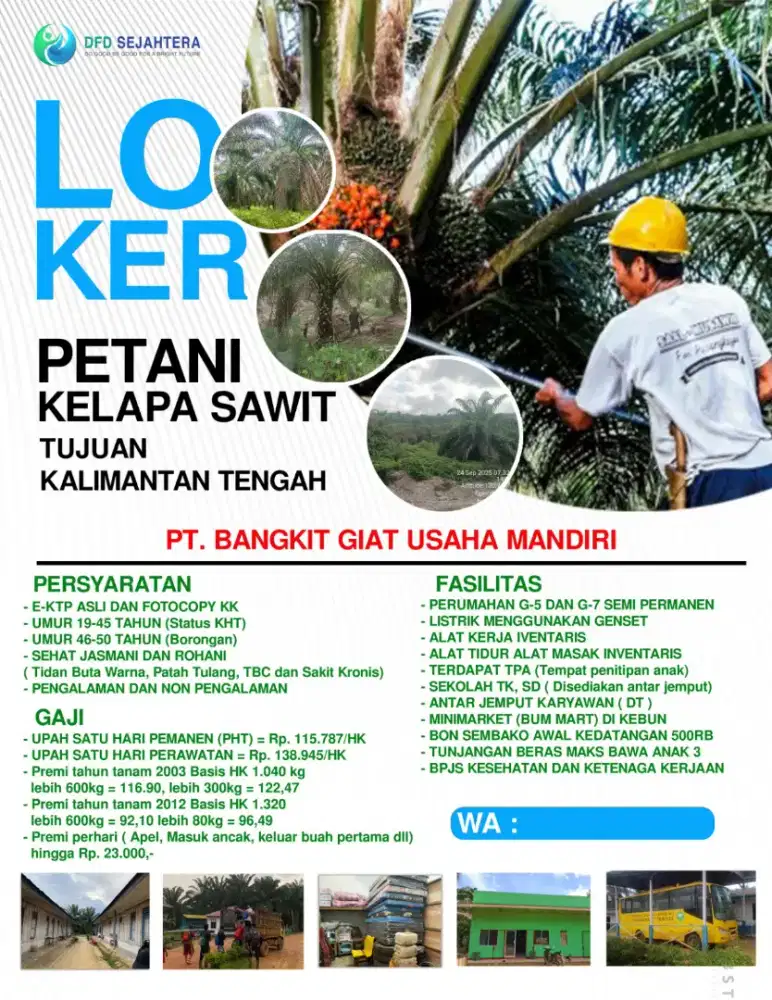 Cari karyawan untuk posisi panen lanjang dan pasutri