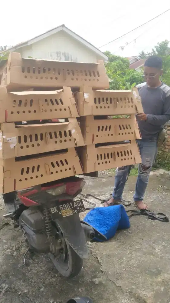 Di butuhkan karyawan toko hewan