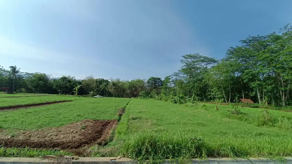 BISMILLAH DIJUAL TANAH/SAWAH DIBAWAH NJOP