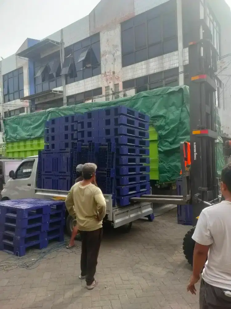 Pallet Plastik Second Bagus Dan Murah