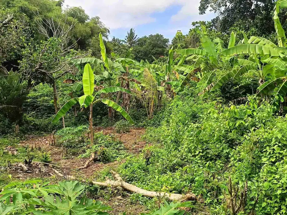 dijual tanah 400m² di taman mumbul nusa dua Kuta Selatan Badung Bali