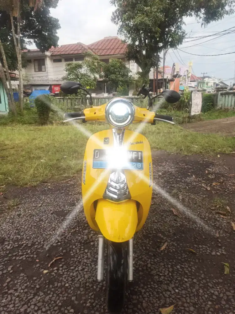 Volta mandala 2023