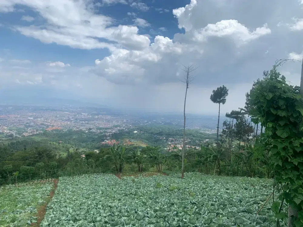 Dijual Tanah Kavling Cimenyan Bandung View Bagus