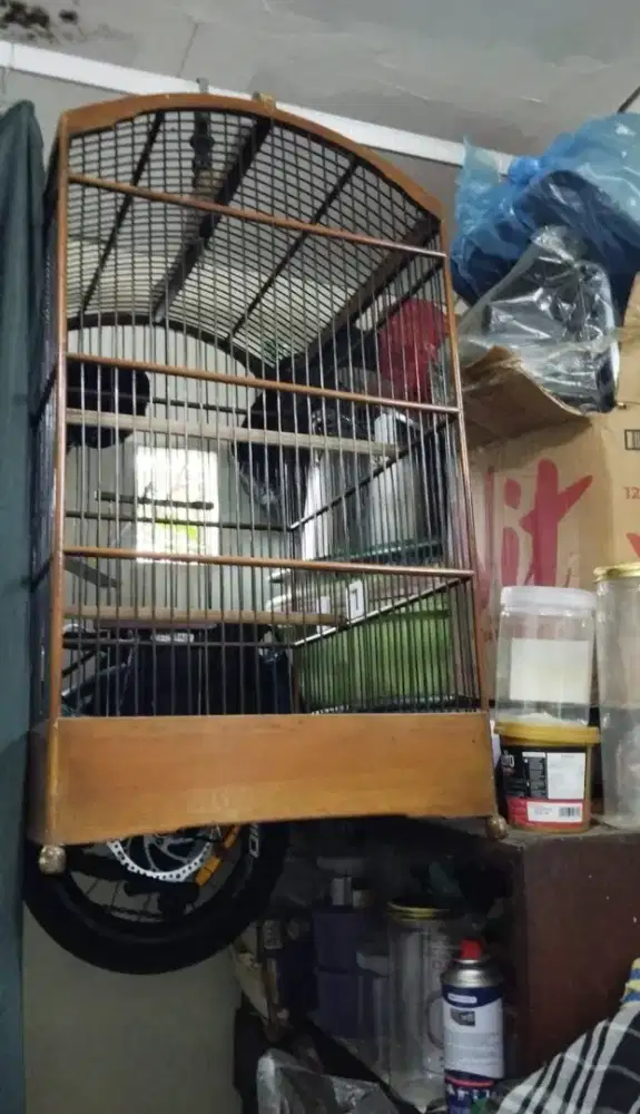 sangkar burung nomor 2