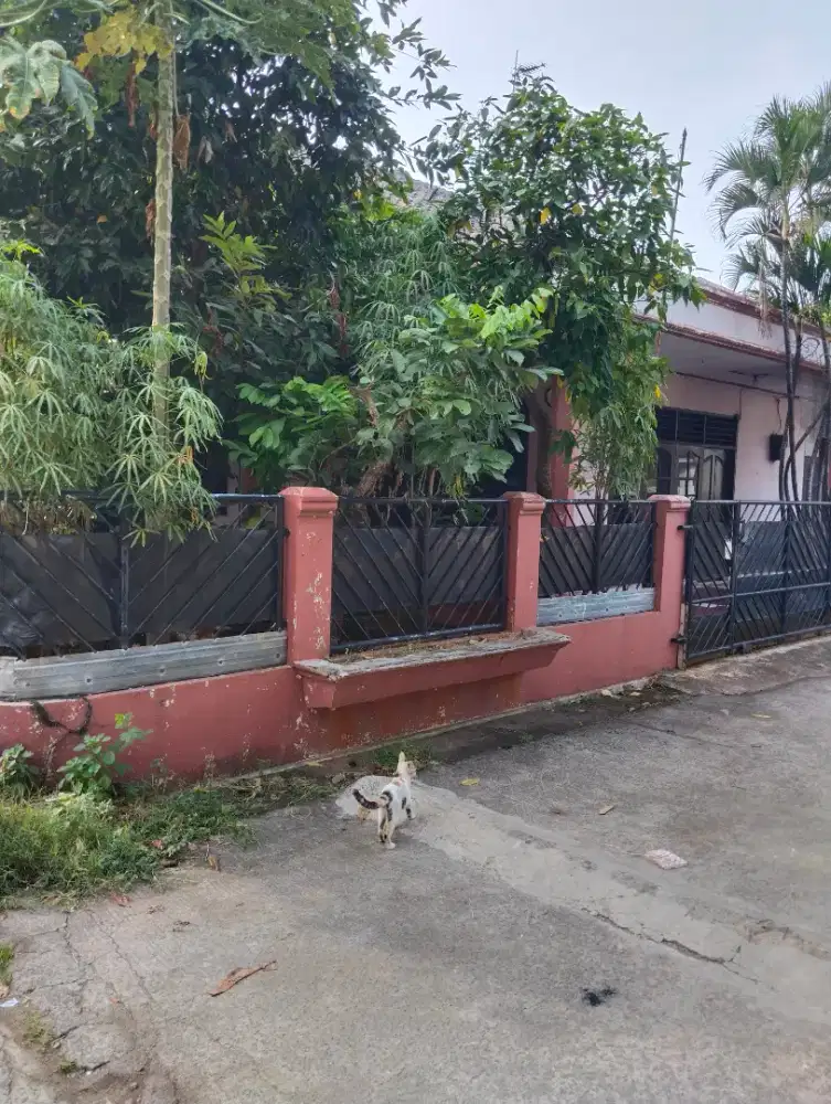 RUMAH SEMI FURNISHED JUAL CEPAT