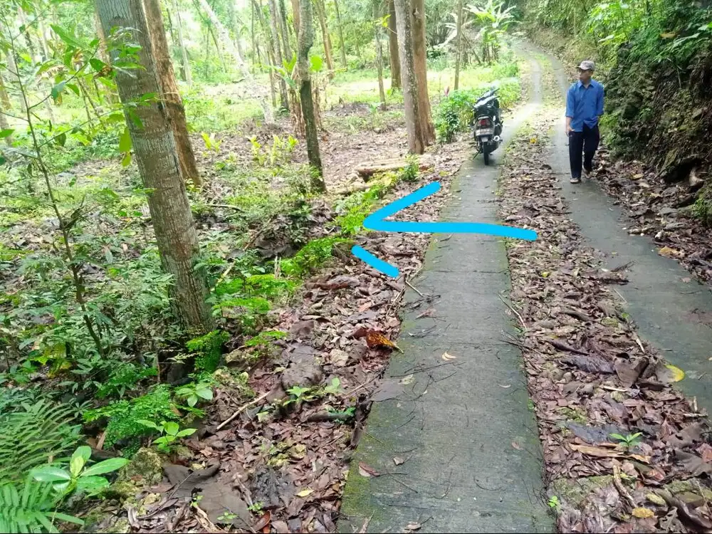 Tanah Murah Timur Waduk Sermo
