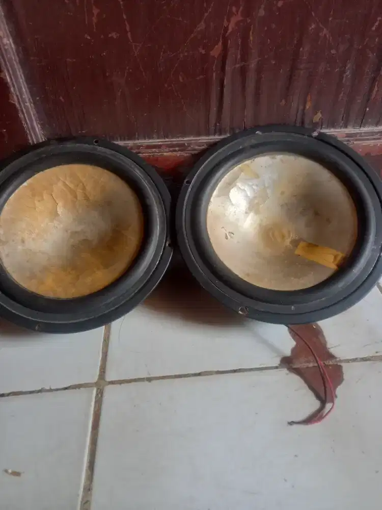 Speaker copotan salon aktif polytron Normal sepasang mines daun retak