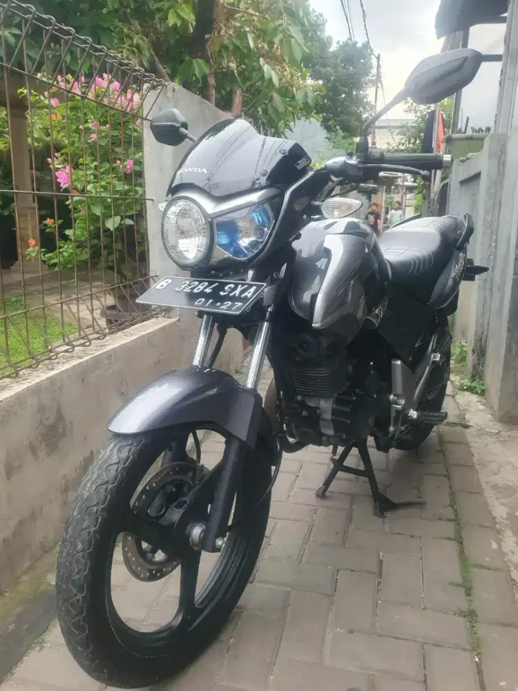 Tiger Revo gress