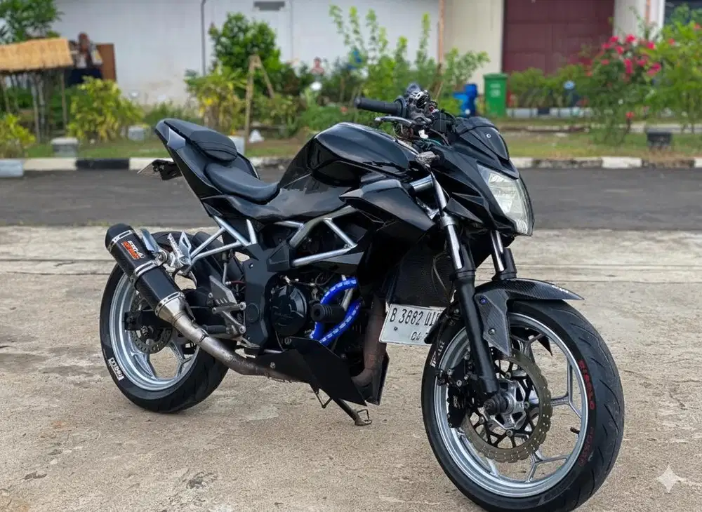 Kawasaki Z250 SL Mono 2015