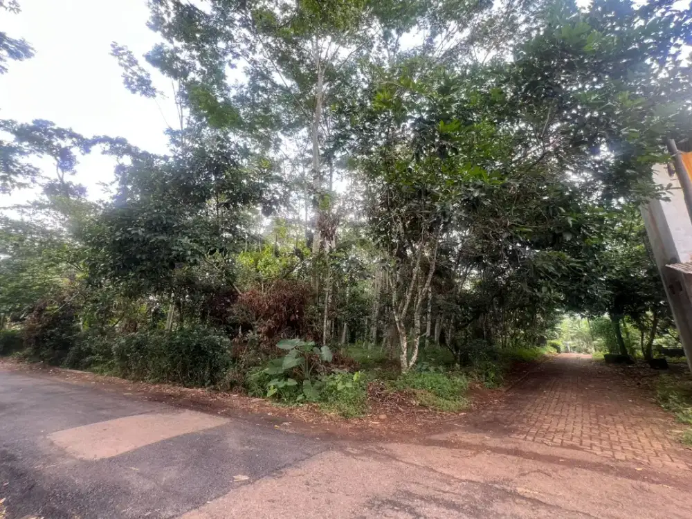 Dijual tanah 1850 M