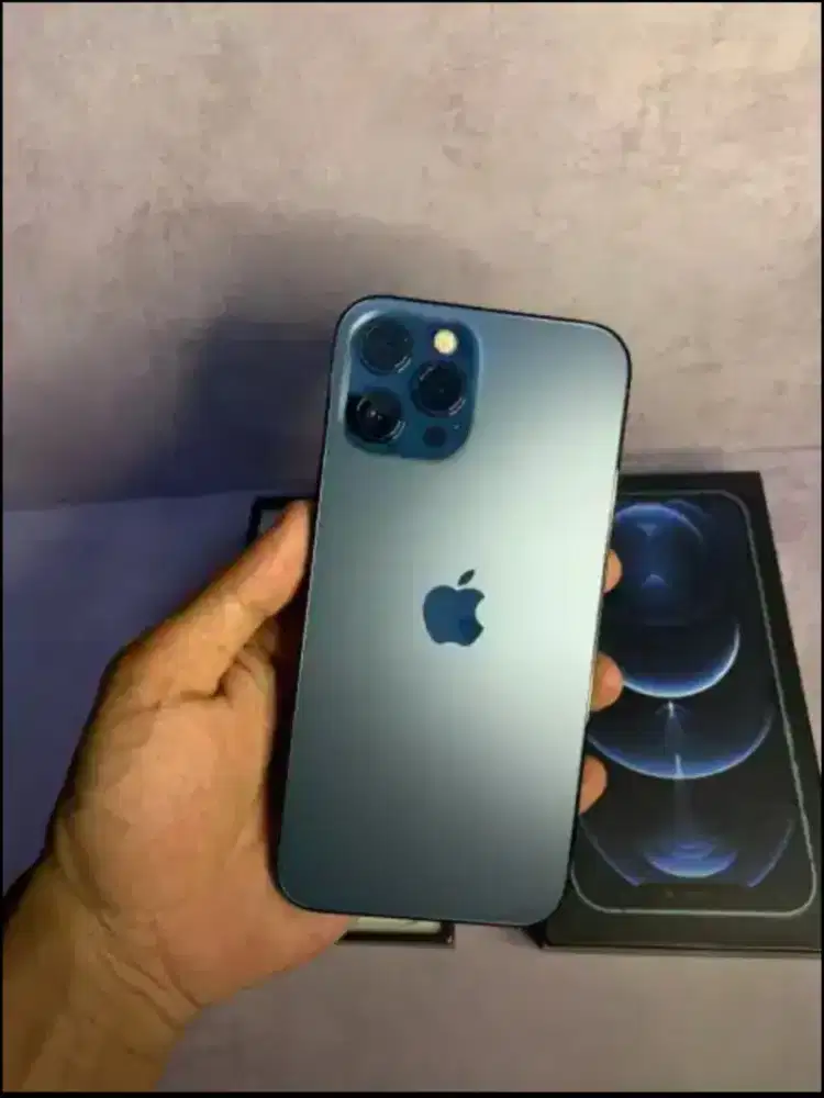 iPhone 12 Pro Max 256 Fullset