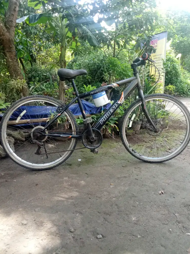 Sepeda2 MTB phonik siap pakai UK 26