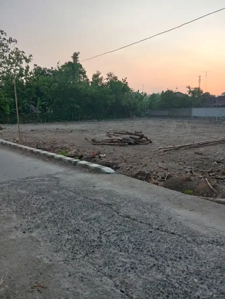 Pekarangan dekat gudang Bulog Krikilan