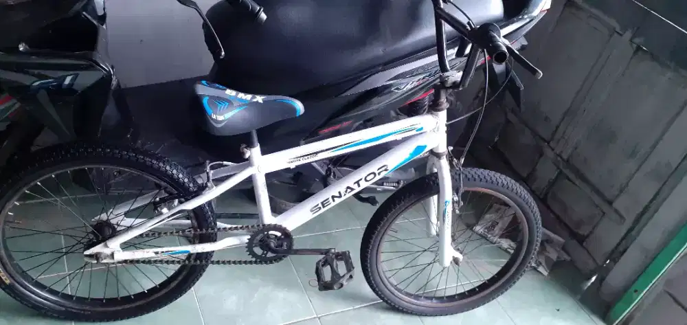 sepeda bmx senator ready gowes