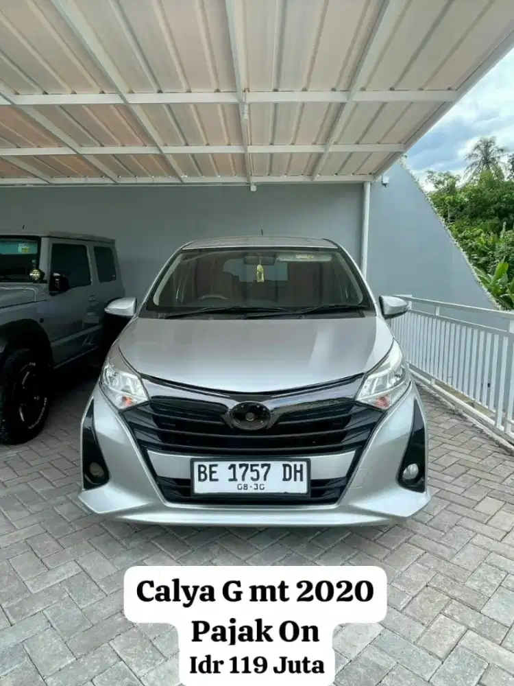 CALYA G  MANUAL 2020