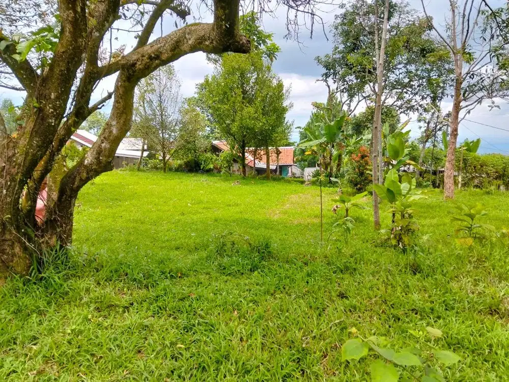 Dijual Tanah Gunung bunder II Nego