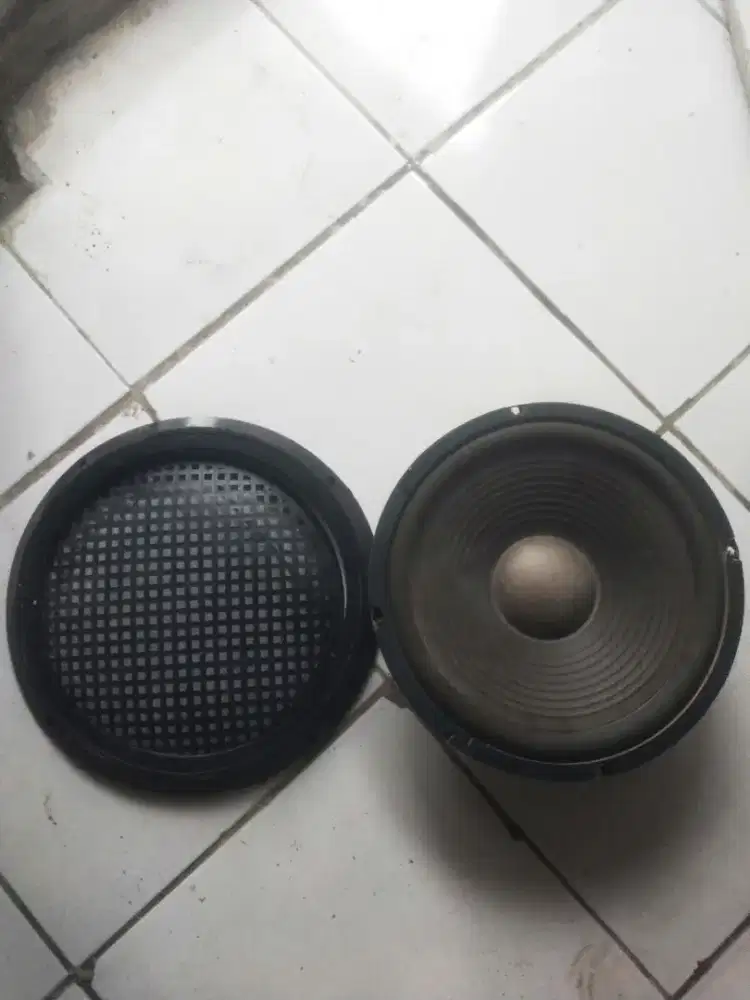 Speaker ACR 10 inch Normal