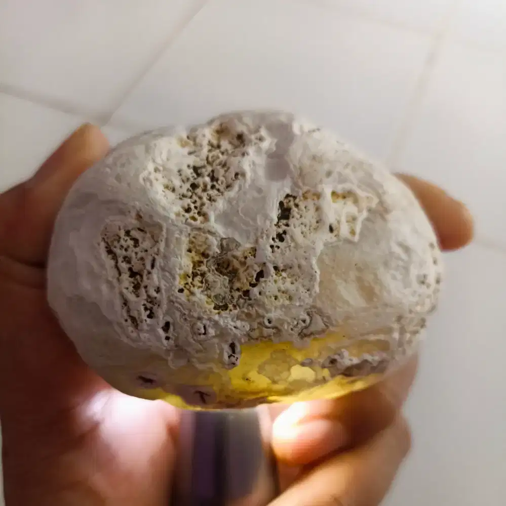Bahan Denrit Sekepalan Tangan