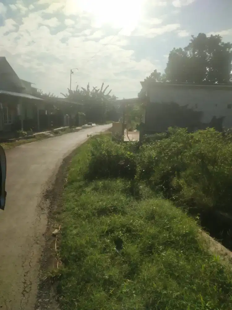 Dijual Sawah/Tanah
