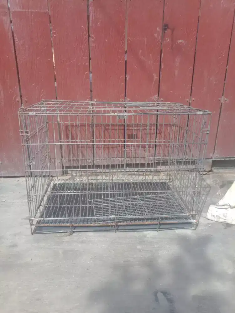di jual kandang anjing atau kucing