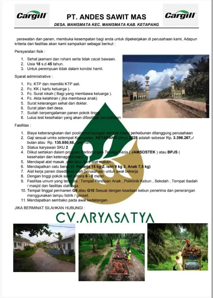 menerima lowongan pekerjaan