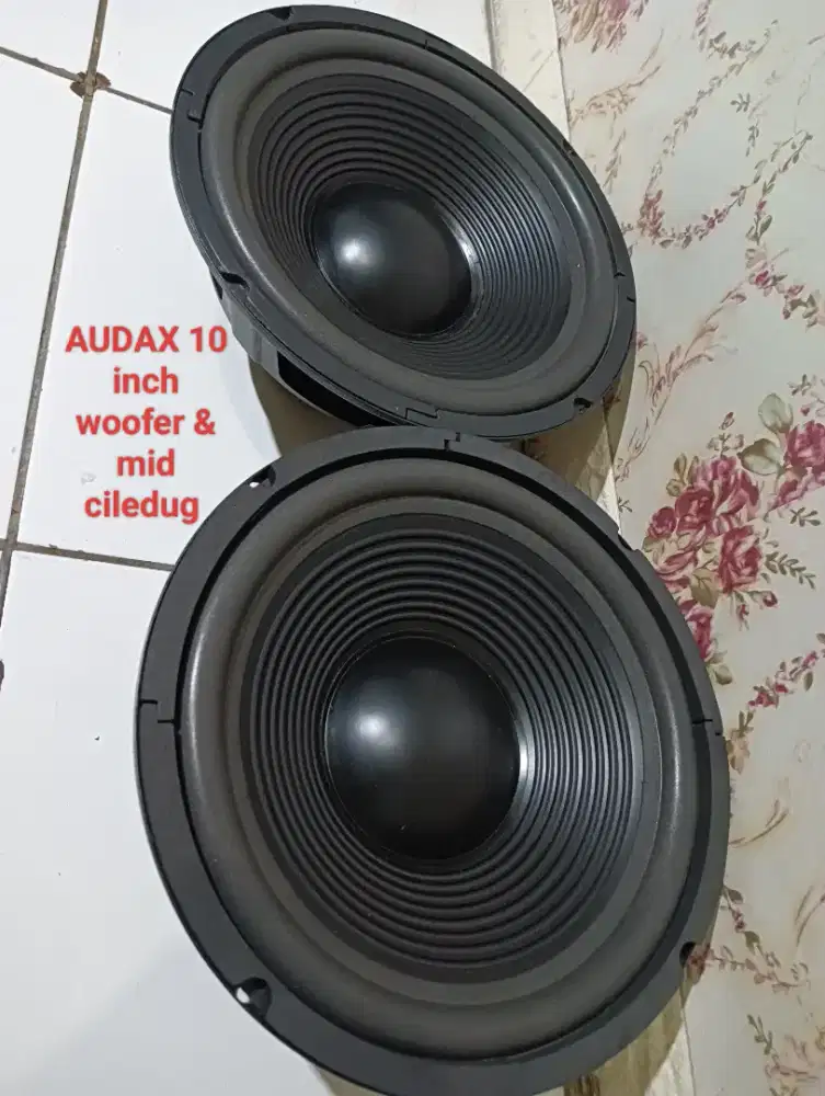 speaker AUDAX 10 inch woofer & mid