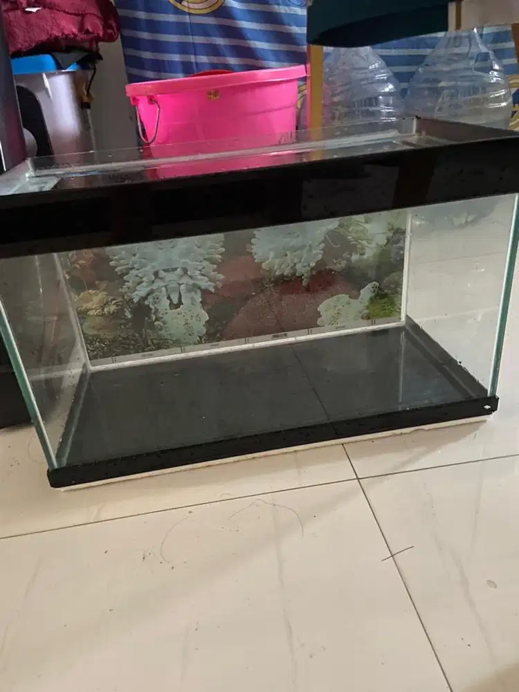 jual aquarium dan filternya