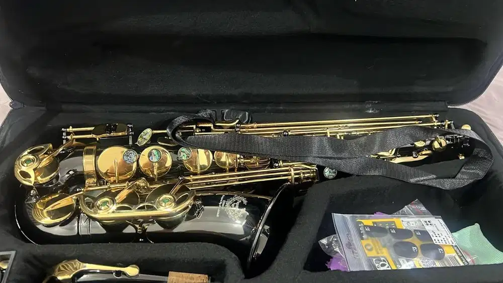 Sexophone alto peganini by frederick SX900 limited edition-Second