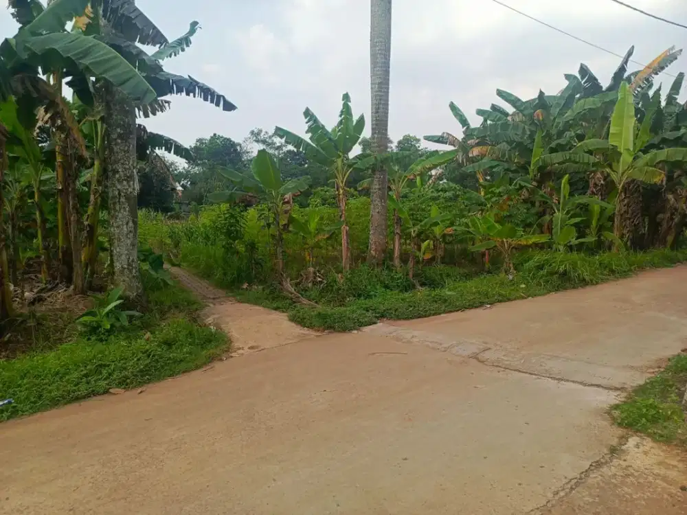 Dijual tanah kavling Pagedangan , akses jalan ke The Icon BSD city