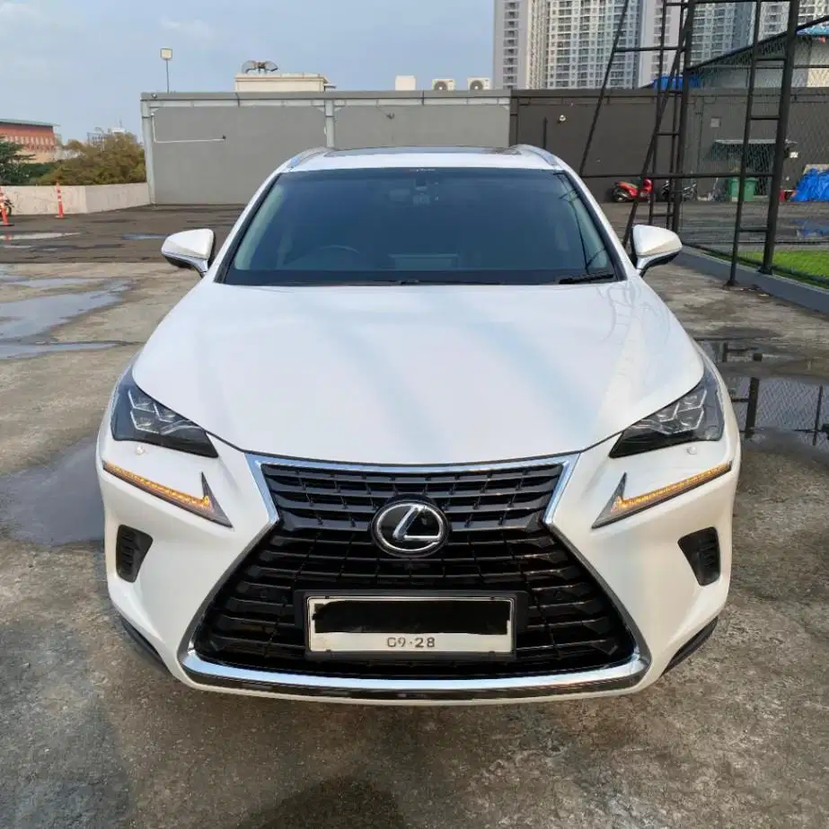 Lexus NX300 Luxury Tahun 2018