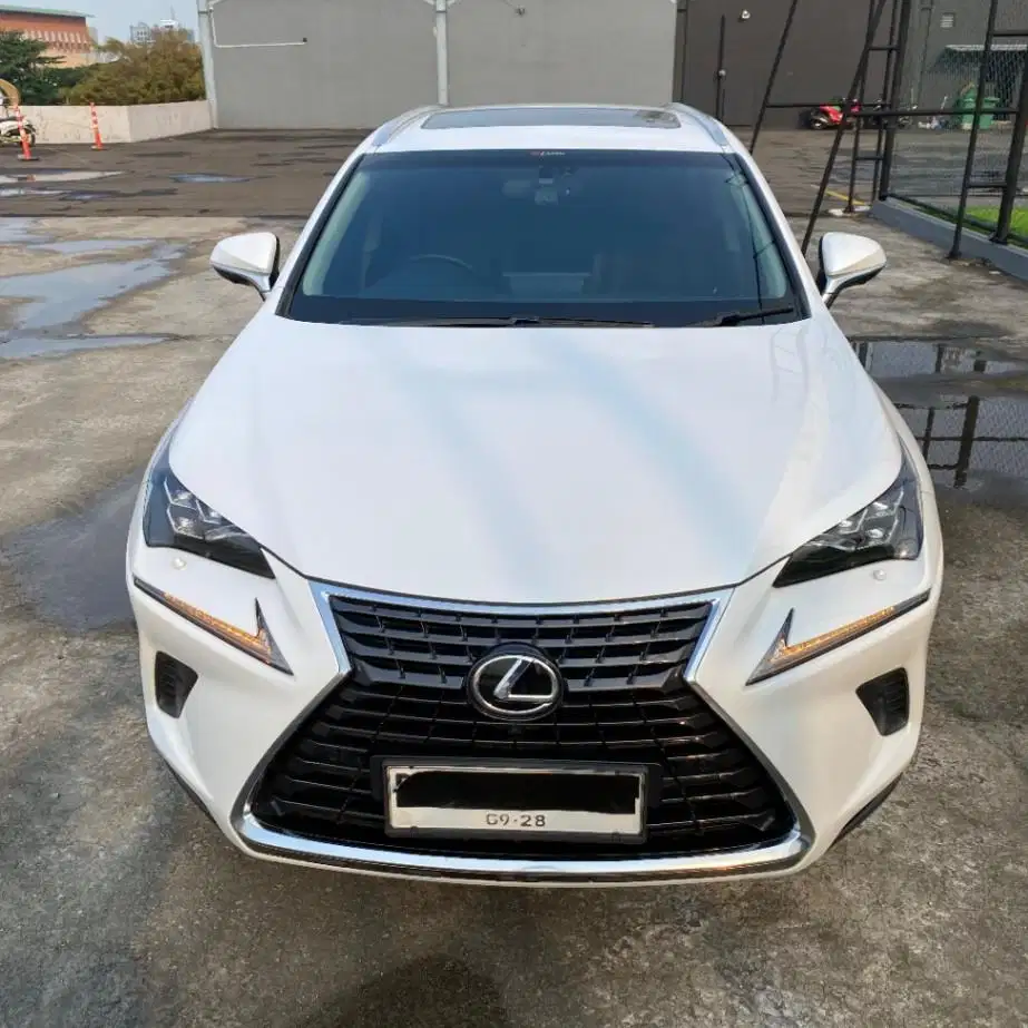 Lexus NX300 Luxury Tahun 2018