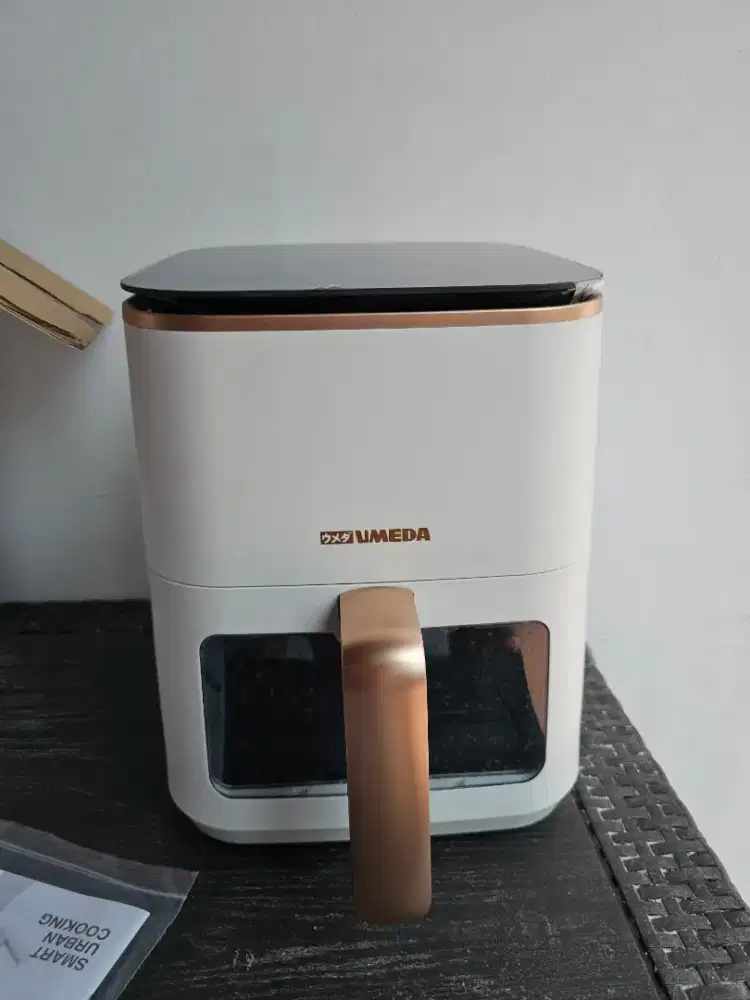 Umeda air fryer
