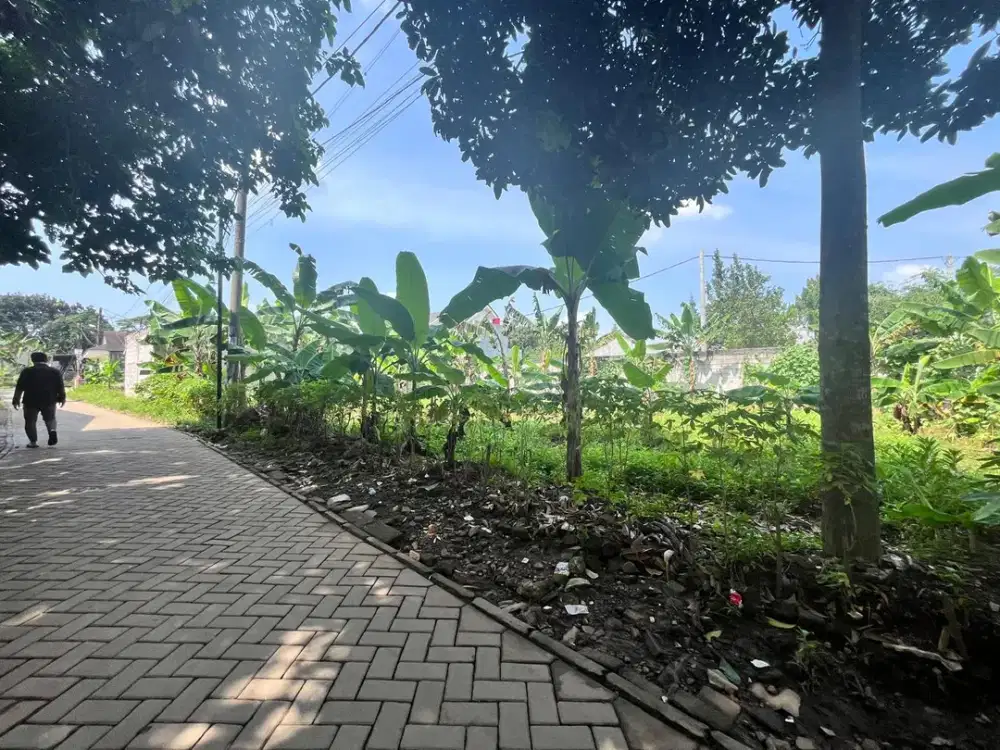 Tanah Murah Kawasan BSD - Cocok Hunian/Investasi kost