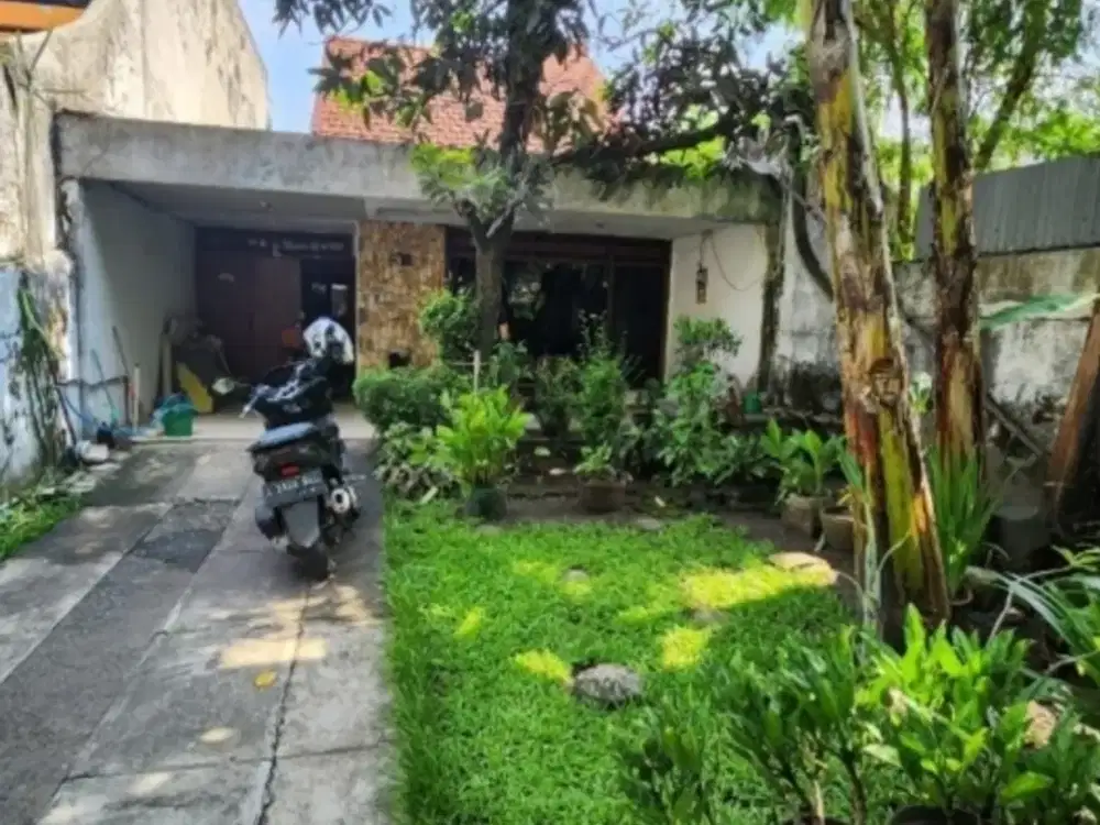 Mojopahit, Komersial area. Surabaya Pusat