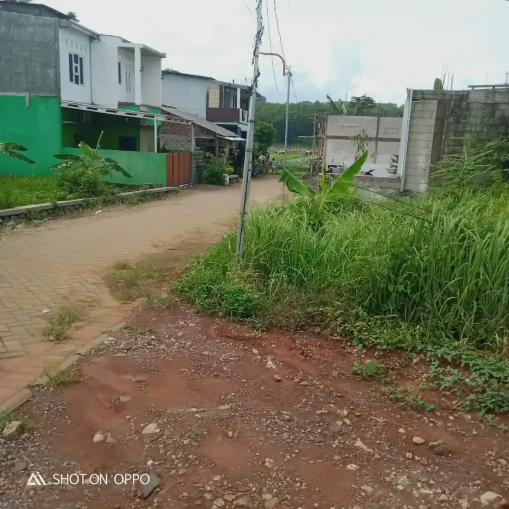 Tanah Murah di Ngaliyan semarang