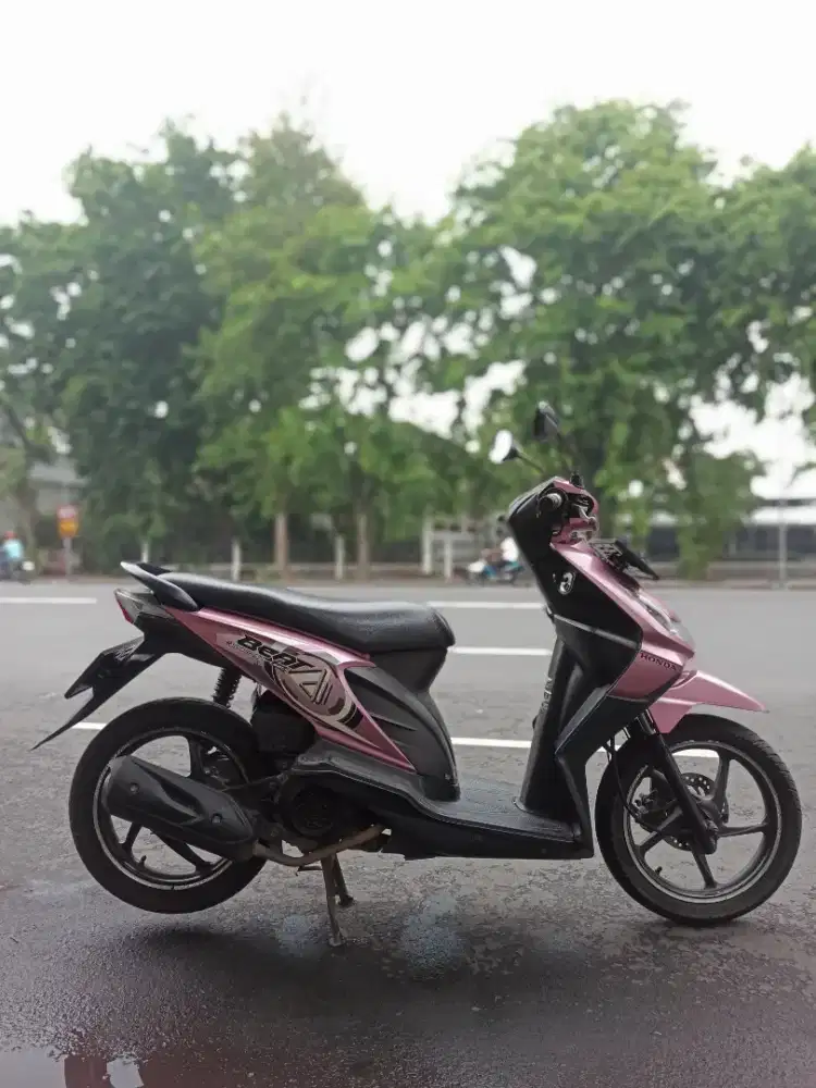 Hond beat karbu terawat