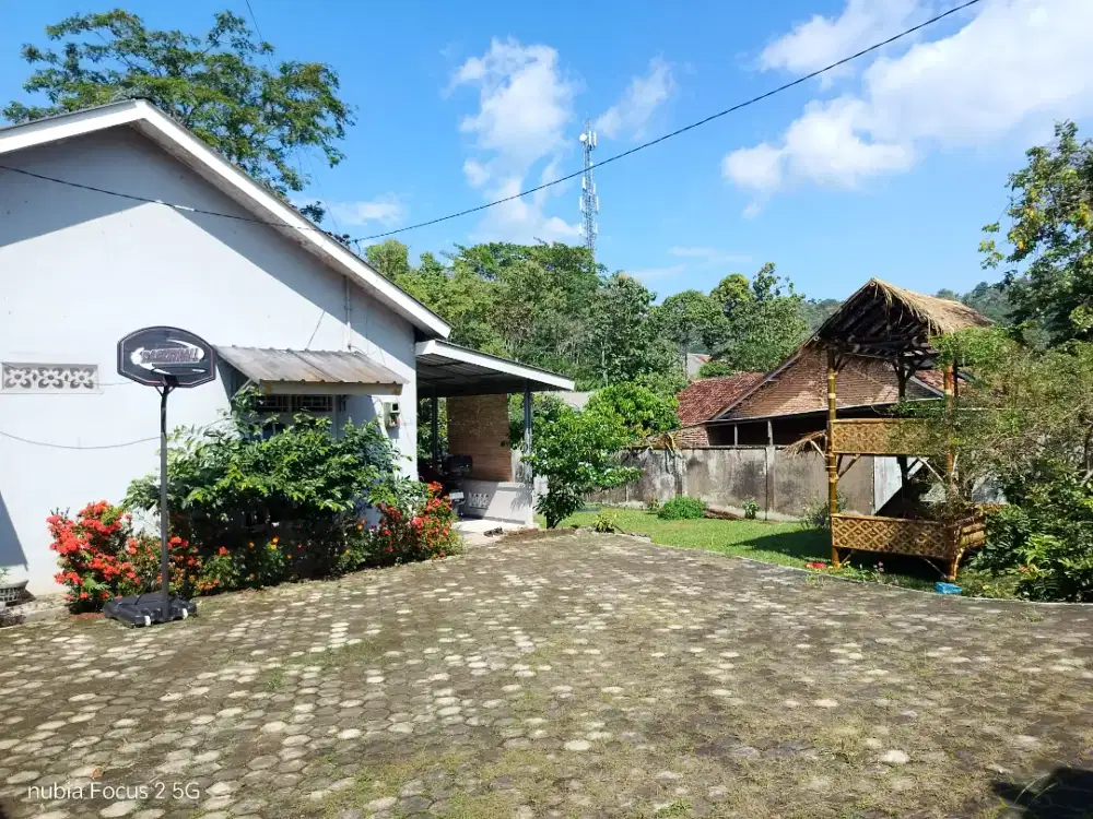 Rumah besar dan kebun luas dalam kota