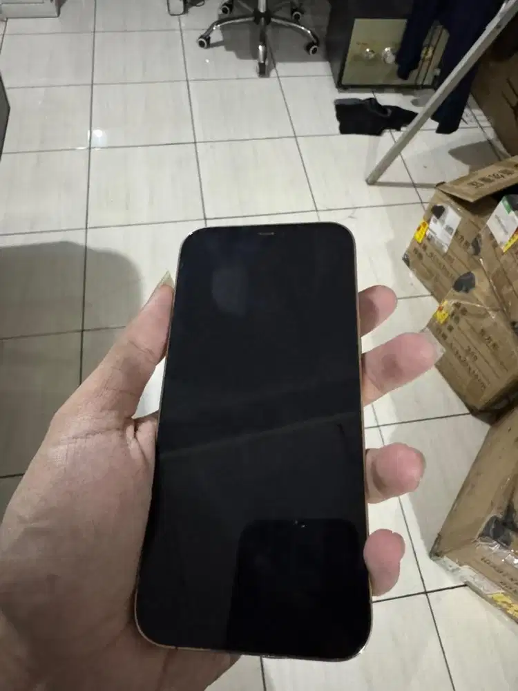 iPhone 12 Promax 256gb Ex Inter