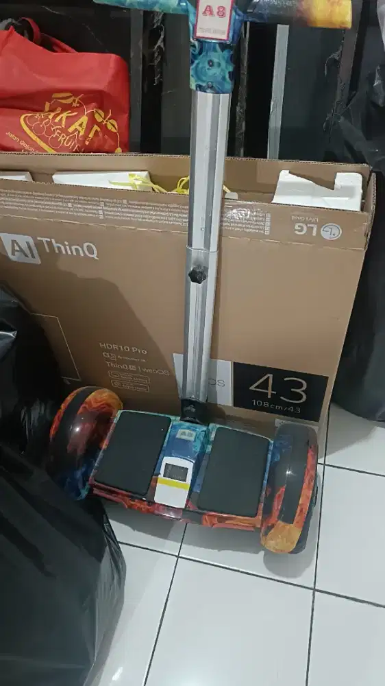 Haverboard Segway Smart Balance