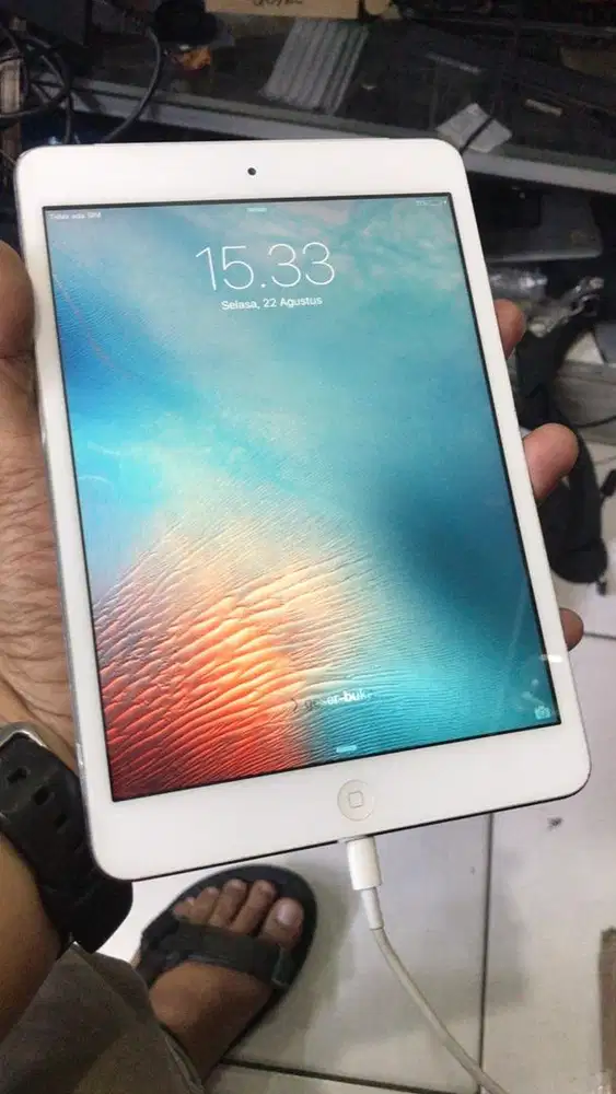 Apple iPad Mini Batangan