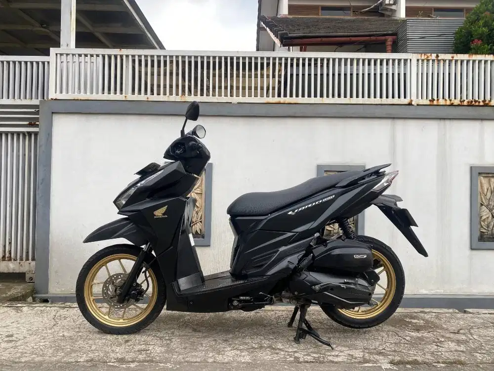 Vario New Old 150, 2018