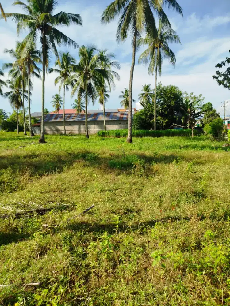 Strategis Tanah Pekarangan 939 m² kebun subur