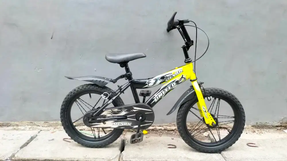 Sepeda anak united