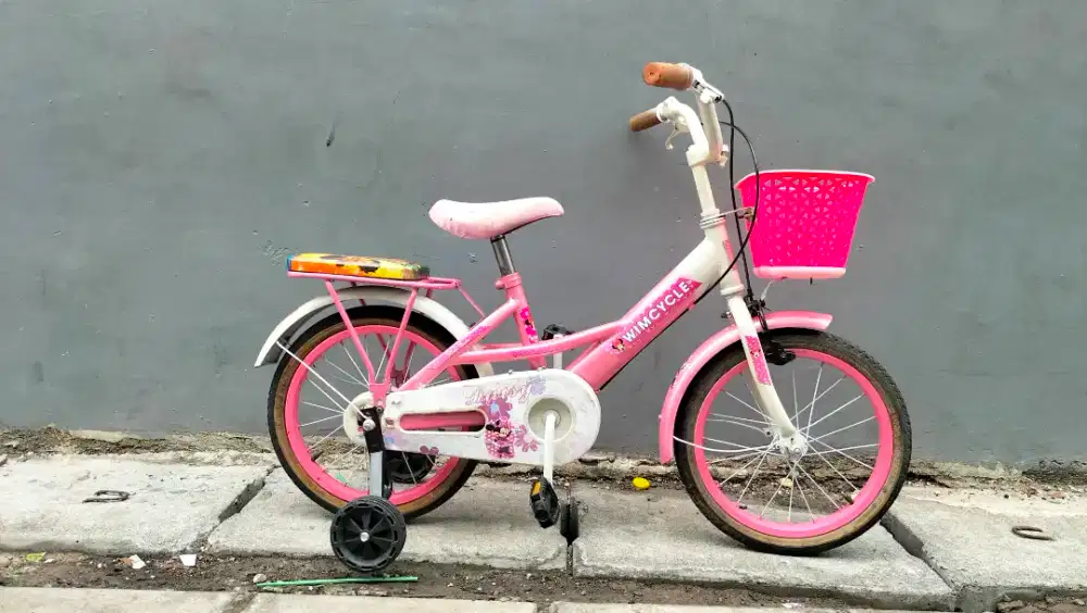 Sepeda wimcycel repaint