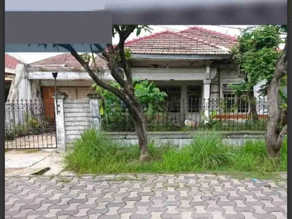 Murah 10 jt/mtr Hitung Tanah‼️Rumah lama Manyar Surabaya