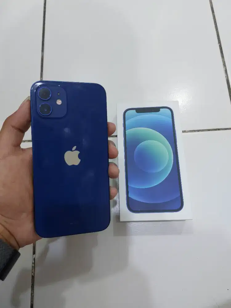 Iphone 12 128 resmi ibox