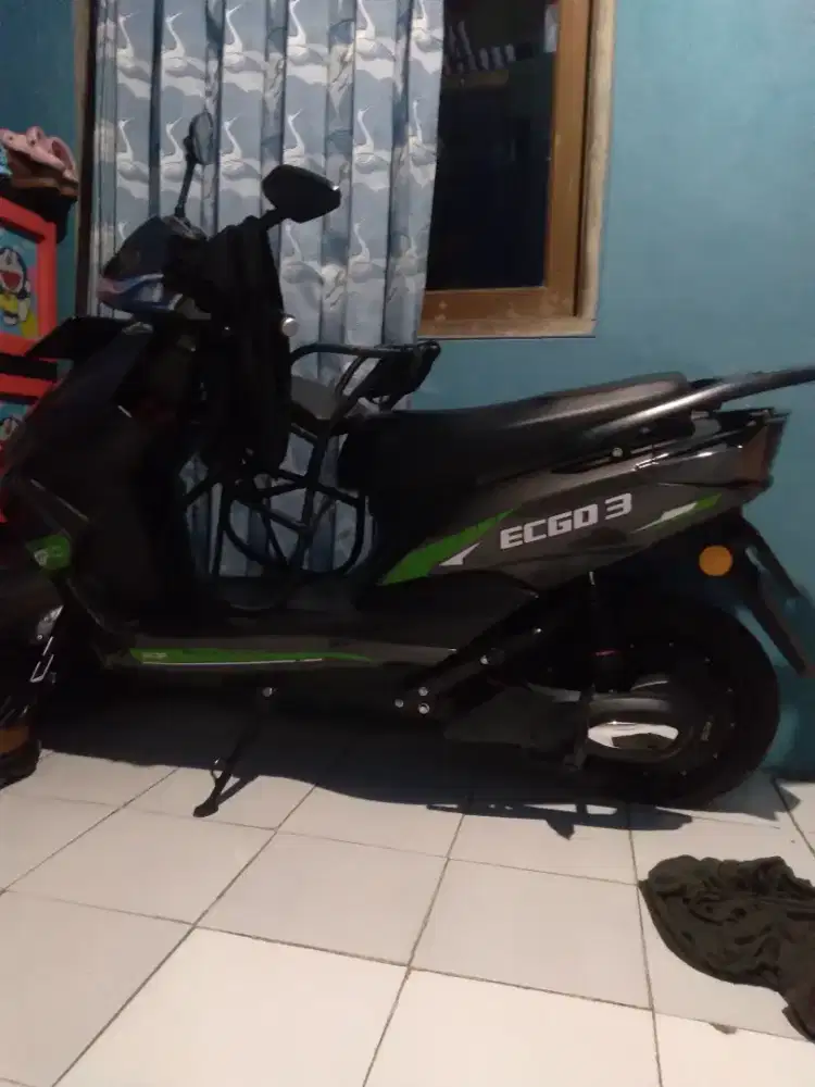 Molis ecgo 3 2024