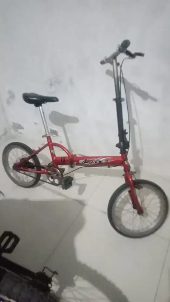 Sepeda Aleoca Le Makino Italy